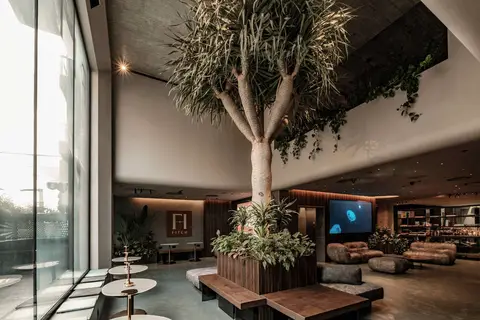 Fitch Hotel in San Ġiljan — foto 10