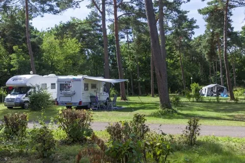 Oostappen Vakantiepark Boschbeek foto 10