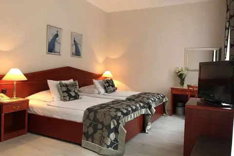 Hotel Carlton Prague in Praag, foto 17