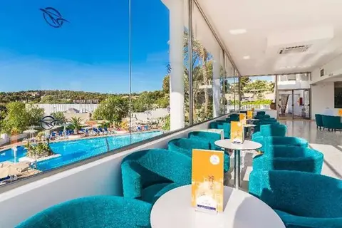 Globales Mimosa in Calvià — foto 11