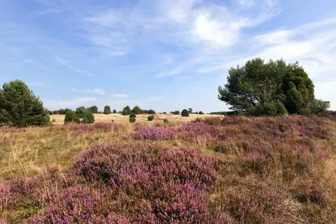 Landhotel Schnuck foto 35