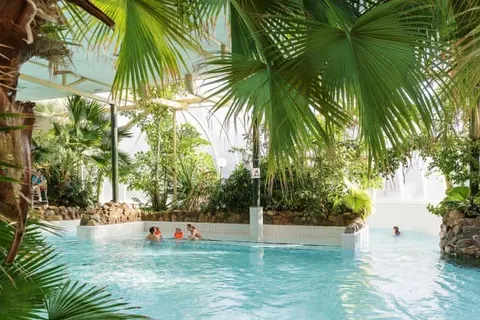 Center Parcs Limburgse Peel foto 3