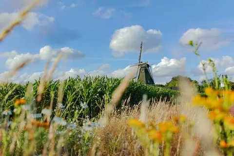 Parkhotel Auberge Vincent foto 19