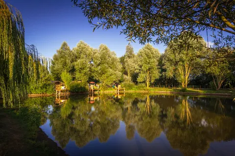 Camping Domaine De L Etang foto 2