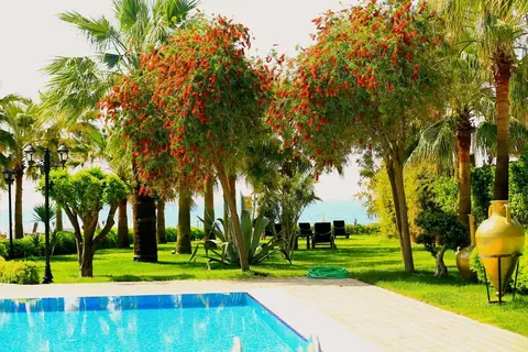 Villa Augusto Boutique Hotel in Alaşehir, foto 18