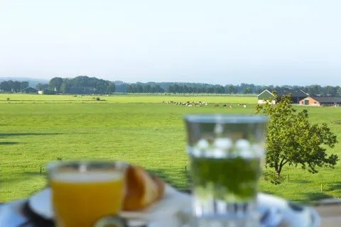 Hotel Zonneheuvel foto 4