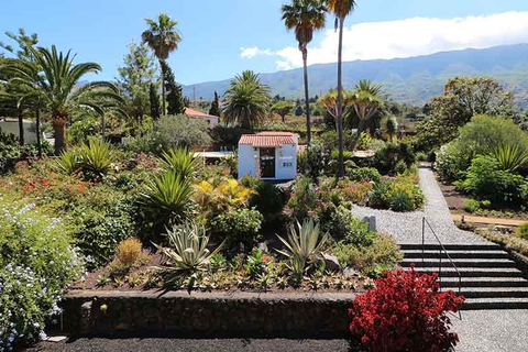 Appartementen Miranda foto 10