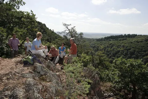 Camping Donnersberg foto 13
