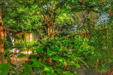 International Glamping Lago Di Bracciano in Trevignano Romano — foto 28