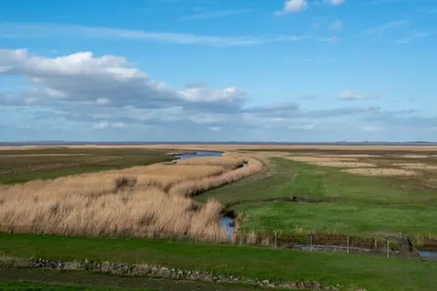 Hotel Restaurant Termunterzijl foto 24