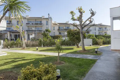 Flora in Port de Pollença — foto 3