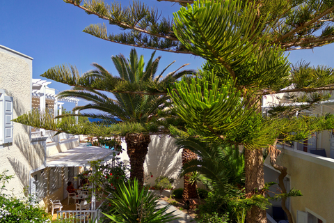 Dolphins Apartments foto 14