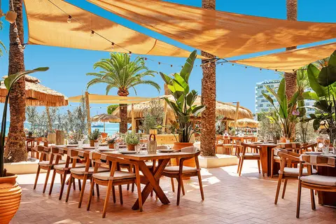 Zel Mallorca in Calvià — foto 8