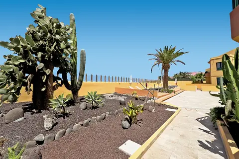 Complejo Las Tres Palmeras in Valle Gran Rey — foto 13