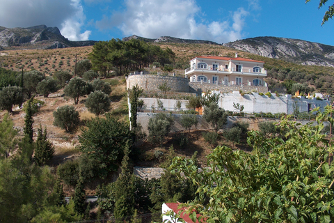 Appartementen Villa Themos foto 22