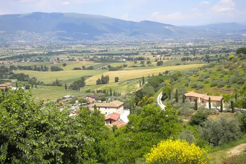 Il Poggio degli Olivi in Bettona — foto 19