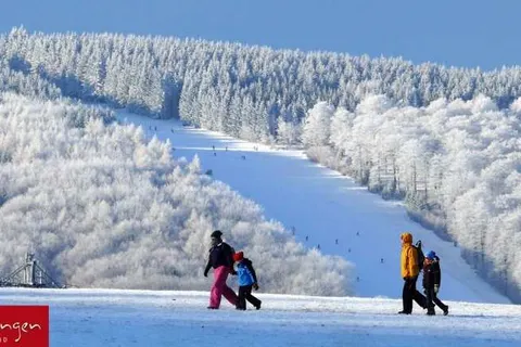 Hotel Edelweiss Willingen foto 27