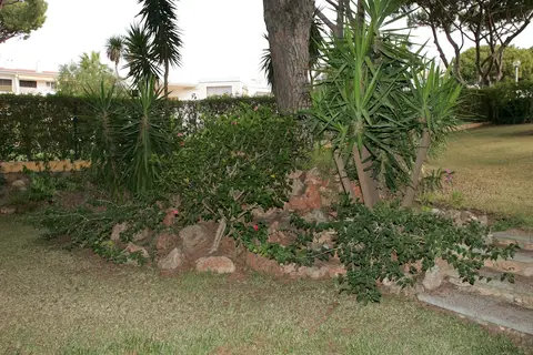 Rio in Loulé, foto 26