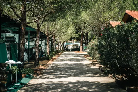 Village Oasi foto 14