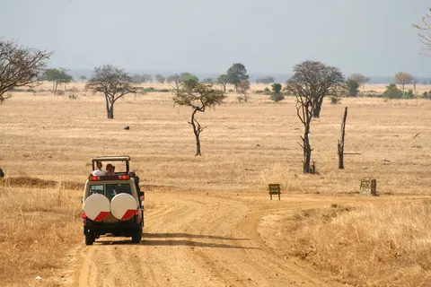 Geheime Schatten van Tanzania foto 3