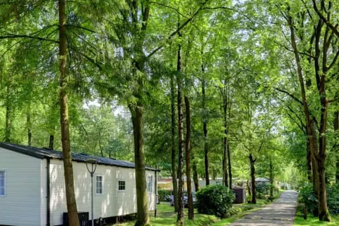 Camping Floreal Het Veen foto 1