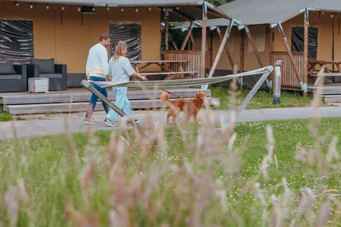 Camping Sallandshoeve foto 7