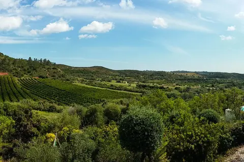 Vale Fuzeiros Nature Guest House in São Bartolomeu de Messines — foto 16