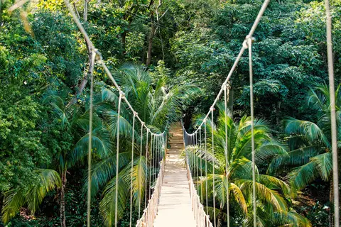 Cruise Caribisch Eilandhoppen in cruisereizen — foto 9
