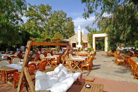 Okaliptus in Bodrum — foto 14