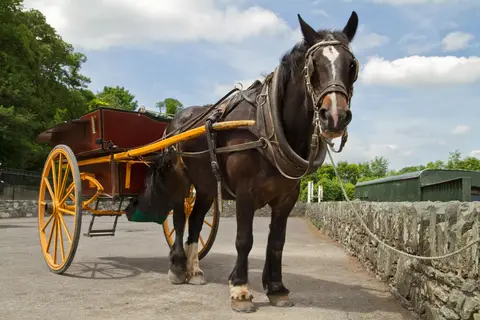 Ierland op het Gemak in Ierland — foto 25