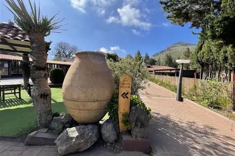El Refugio in Vega de San Mateo — foto 22