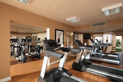 Dreams Royal Beach Punta Cana in Punta Cana — foto 13