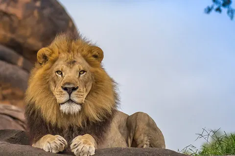 Suid-Afrika Compleet foto 2