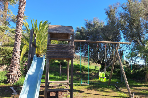 Quinta das Achadas foto 8