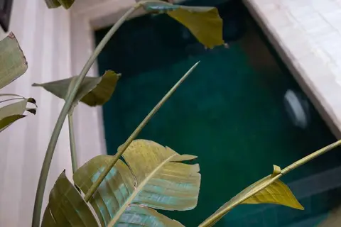 Riad Marrakech Doors in Marrakesh, foto 6