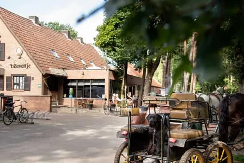 Camping Zavelbos foto 16