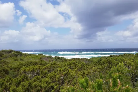 Camping Baia Paradiso foto 5