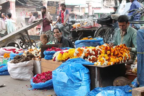 13-daagse rondreis Koninklijk Rajasthan in Delhi — foto 5