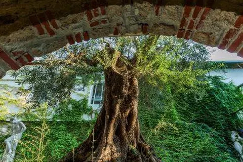 Hotel Kriopigi foto 12