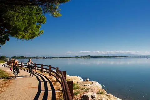 Belvedere Pineta in Belvedere — foto 6