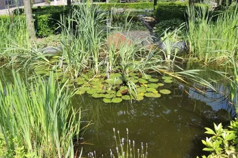 Erfgoedlogies d&ampapos;Ouffenhoff foto 11