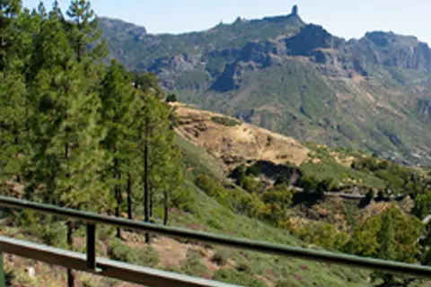 Parador de Cruz de Tejeda in Vega de San Mateo — foto 18