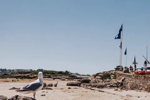 Camping Liberté Landrellec foto 3