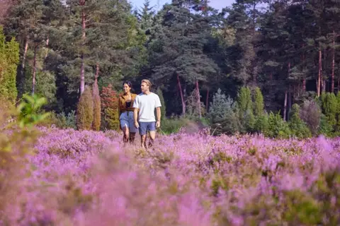 Center Parcs Bispinger Heide in Bispingen — foto 25