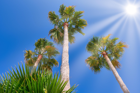 Appartementen Nana-Angela foto 23