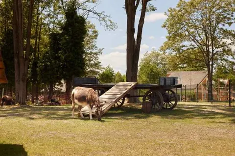 Center Parcs Park Eifel foto 25