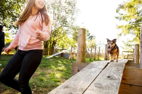 Vakantiepark Dwergter Sand foto 4