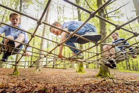 Ardennen Camping Bertrix in Bertrix — foto 20