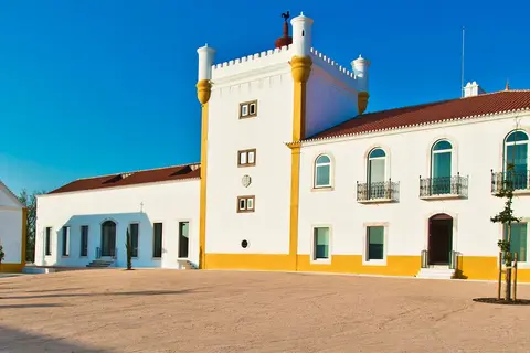 Torre de Palma Wine Hotel in Monforte