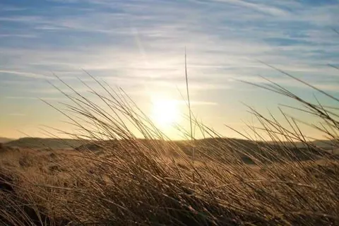 Hotel Bosch Duin Strand foto 13
